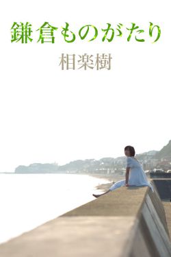 将军家的小娘子 电视剧